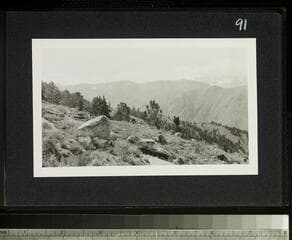 Go to image 93.