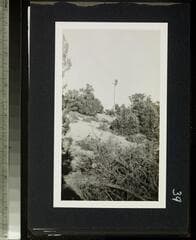 Go to image 41.