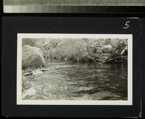 Go to image 7.
