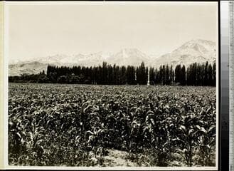 Go to image 283.