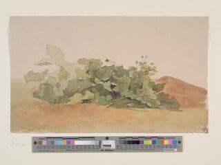 Go to image 1.