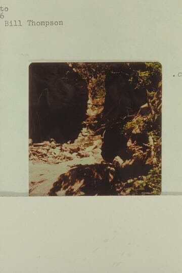 Winnie's Grotto