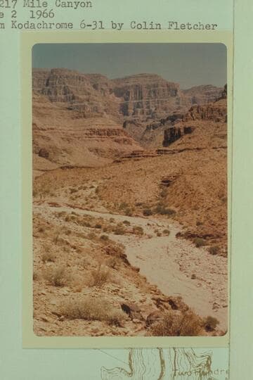 Up 217 Mile Canyon