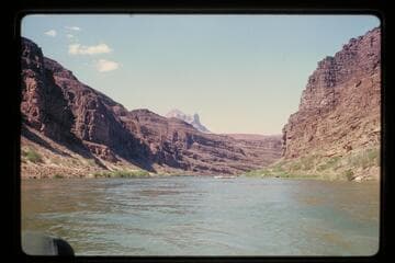 Up from 74.5