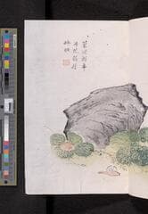 Go to image 127.