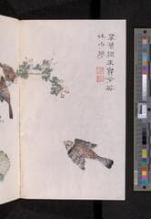 Go to image 290.
