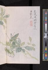 Go to image 280.