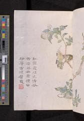 Go to image 347.