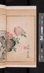 Go to image 410.
