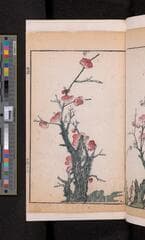 Go to image 333.