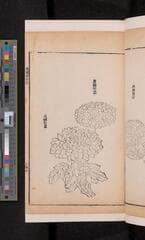 Go to image 383.