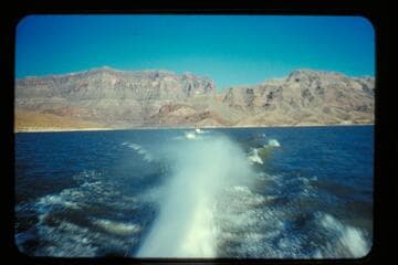 Harris boat in tow