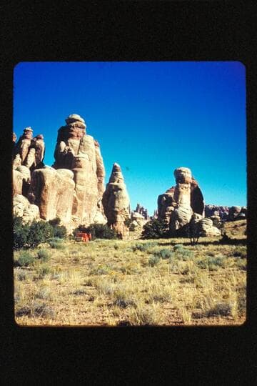 Needles Country