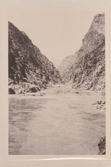 Sockdologer Rapid