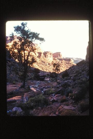 Trail and stream