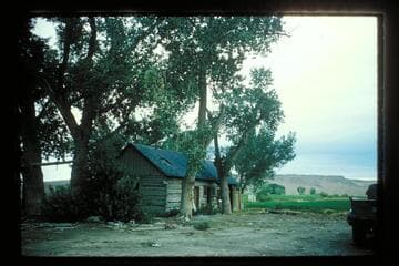 Gibbons store