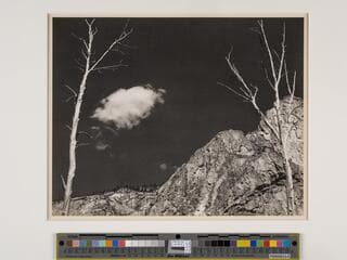 Go to image 2.