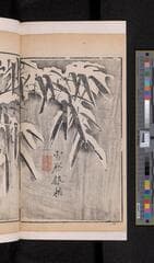 Go to image 222.
