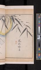 Go to image 224.