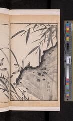 Go to image 116.