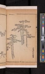 Go to image 142.