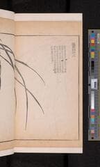 Go to image 80.