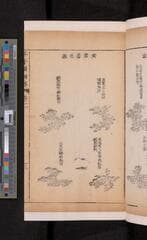 Go to image 107.