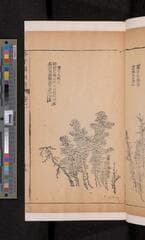 Go to image 119.
