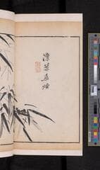 Go to image 196.