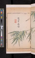 Go to image 233.