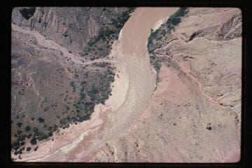 Kwagunt Rapid
