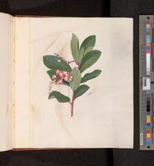 Go to image 198.