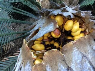 Go to image 2.