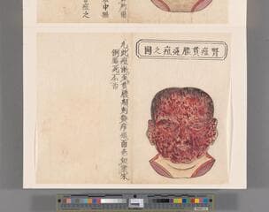 Go to image 27.