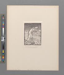 Go to image 48.