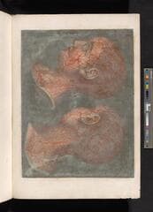 Go to image 7.