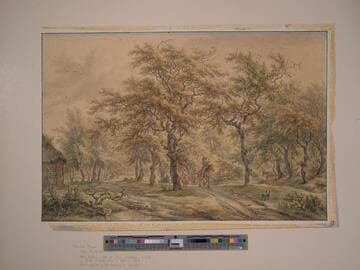 Landscape