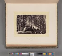Go to image 163.