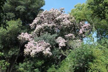 Go to image 22.