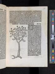Go to image 193.