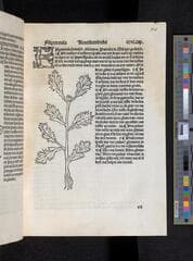 Go to image 243.