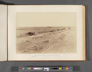 Go to image 47.
