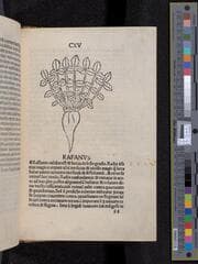 Go to image 251.