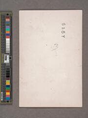 Go to image 76.