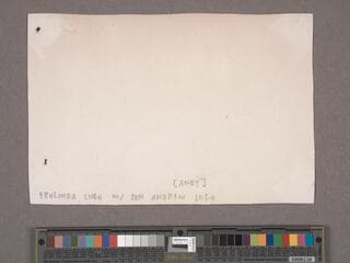 Go to image 156.