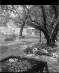 Go to image 1.