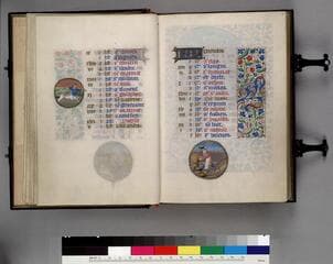Go to image 12.
