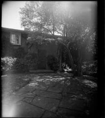 Go to image 7.