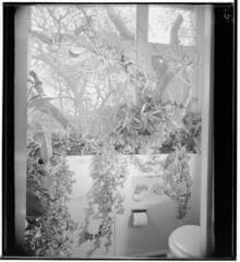 Go to image 18.