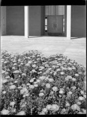 Go to image 10.
